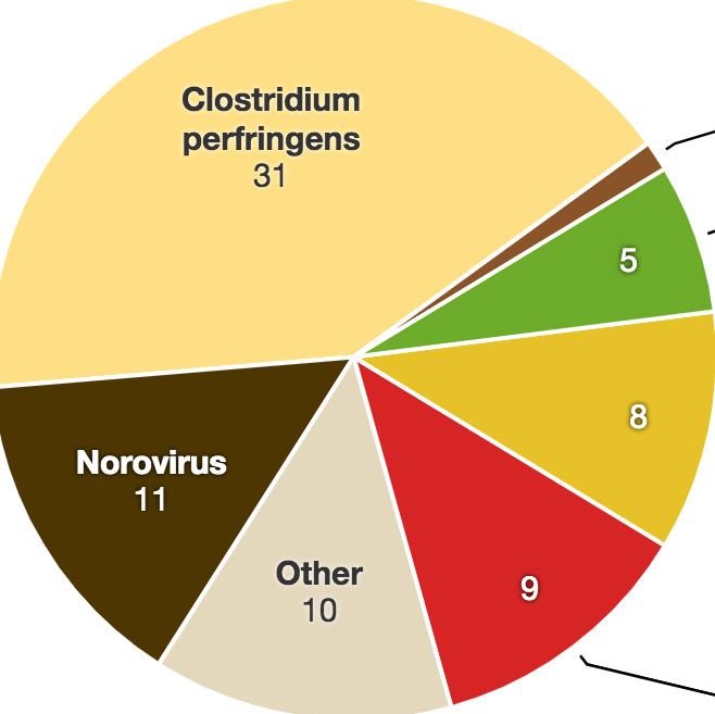 Pie chart of burrito-borne illnesses